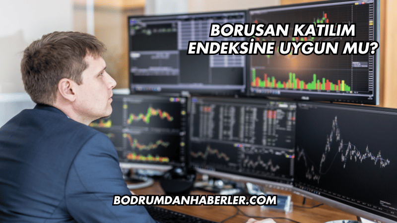 Borusan Katılım Endeksine Uygun mu?