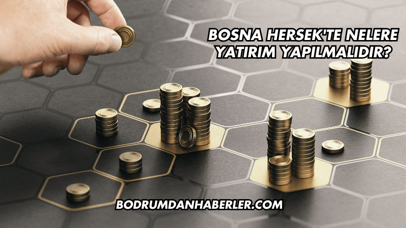 Bosna Hersek'te Nelere Yatırım Yapılmalıdır?