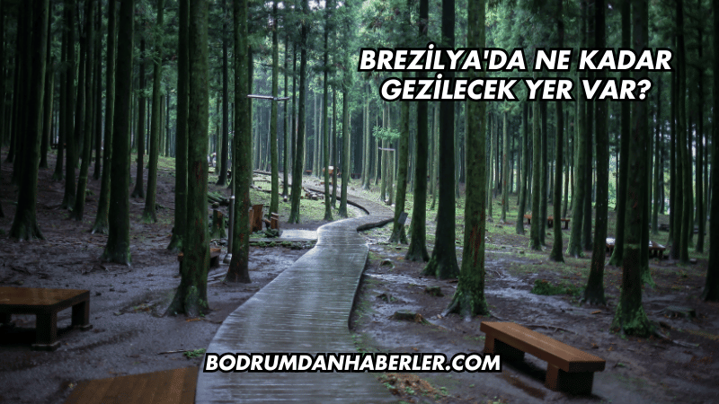 Brezilya'da ne kadar gezilecek yer var?