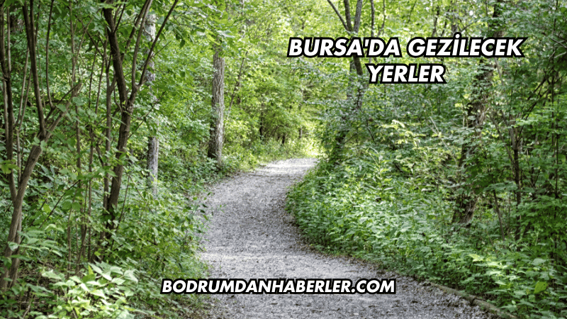 Bursa'da Gezilecek Yerler