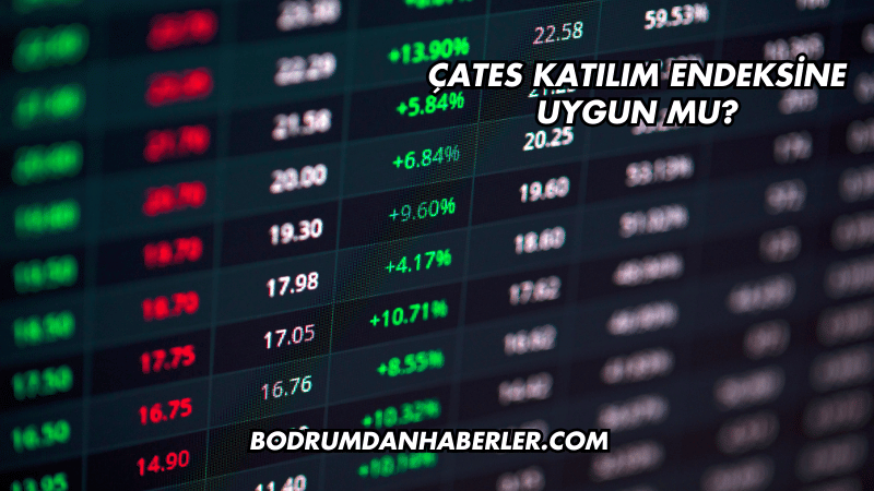 ÇATES Katılım Endeksine Uygun mu?