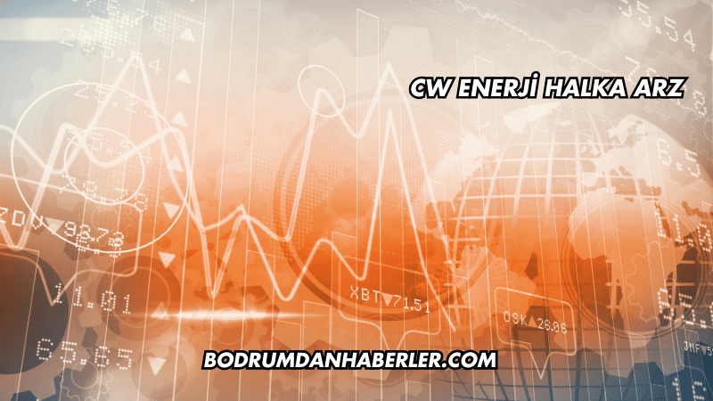 CW Enerji Halka Arz