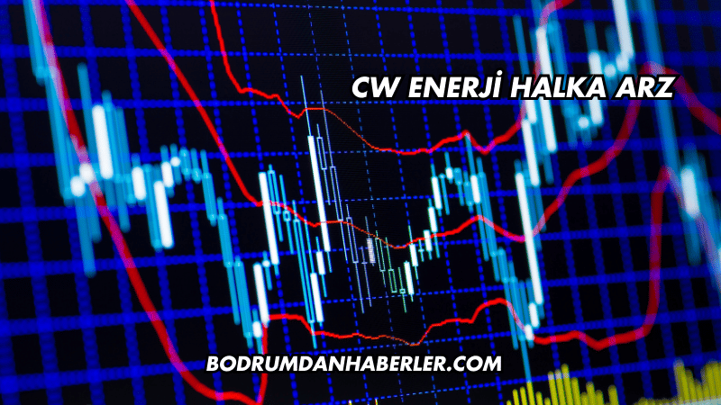 CW Enerji Halka Arz