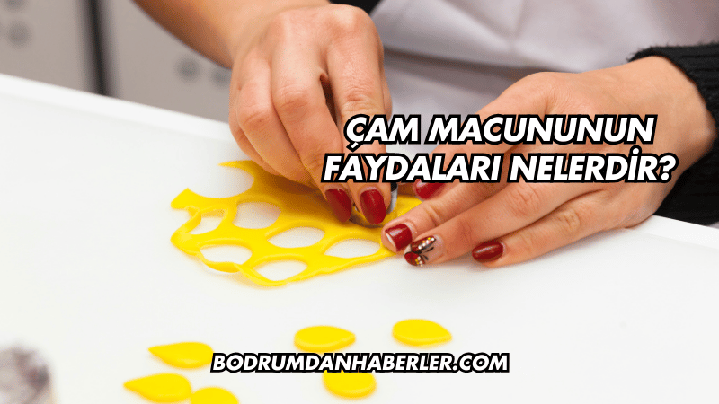 Çam Macununun Faydaları Nelerdir?