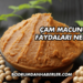 Çam Macununun Faydaları Nelerdir?