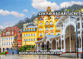 Çekya Asgari Ücret 2025