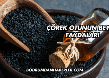 Çörek Otunun Beyne Faydaları