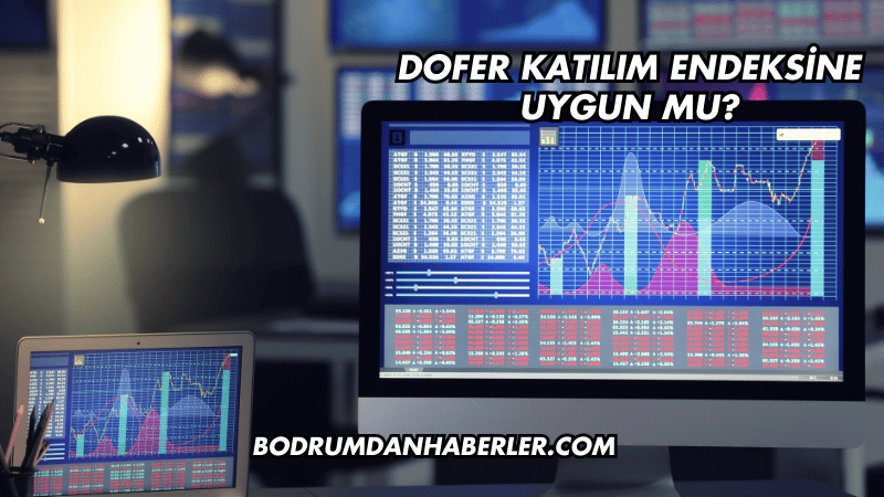 Dofer Katılım Endeksine Uygun mu?