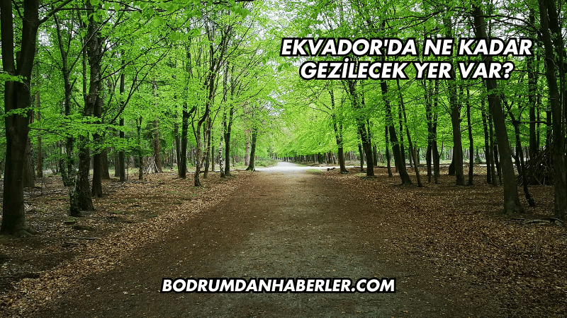 Ekvador'da Ne Kadar Gezilecek Yer Var?