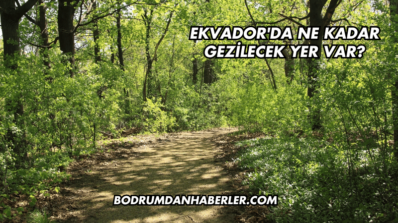 Ekvador'da Ne Kadar Gezilecek Yer Var?