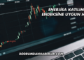 Enerjisa Katılım Endeksine Uygun mu?