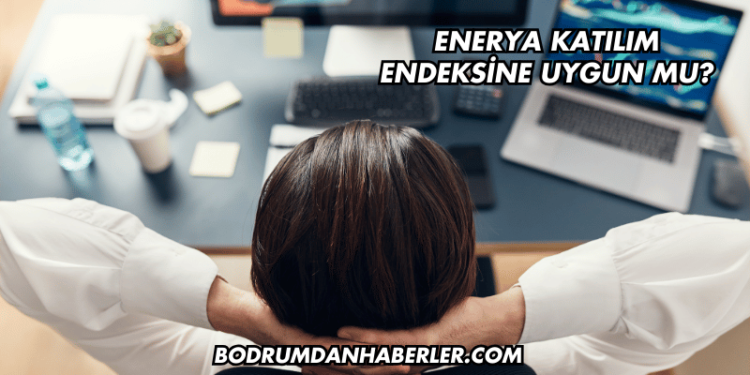 Enerya Katılım Endeksine Uygun mu?