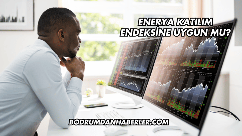 Enerya Katılım Endeksine Uygun mu?