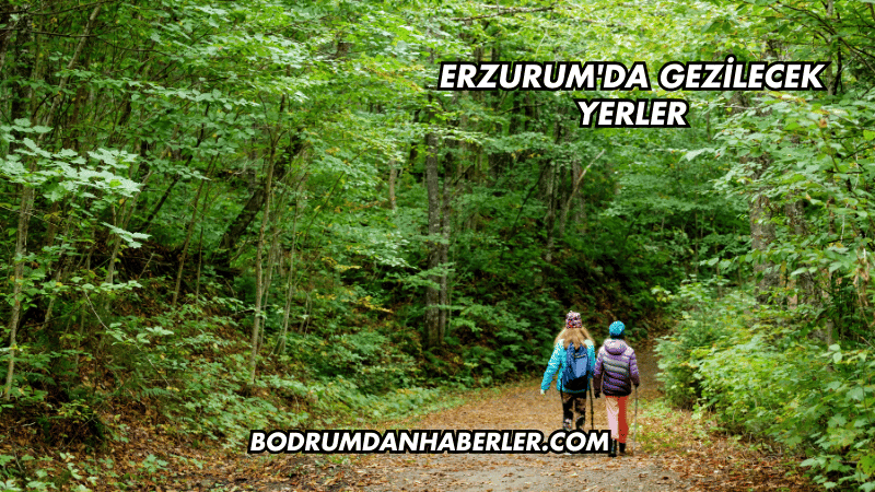 Erzurum'da Gezilecek Yerler
