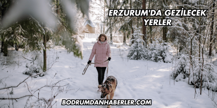 Erzurum'da Gezilecek Yerler