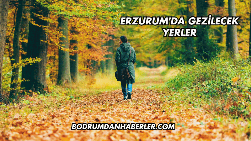 Erzurum'da Gezilecek Yerler