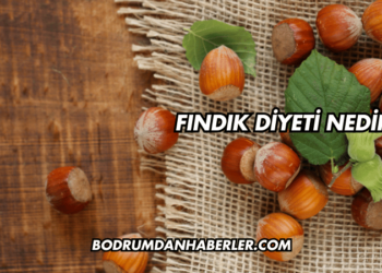 Fındık Diyeti Nedir?