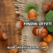 Fındık Diyeti Nedir?