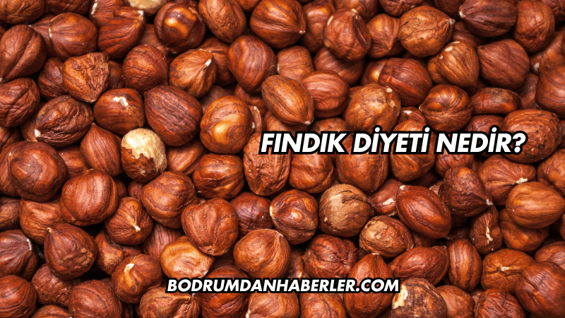 Fındık Diyeti Nedir?