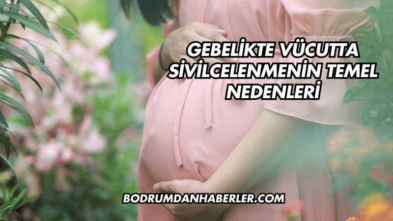 Gebelikte Vücutta Sivilcelenmenin Temel Nedenleri