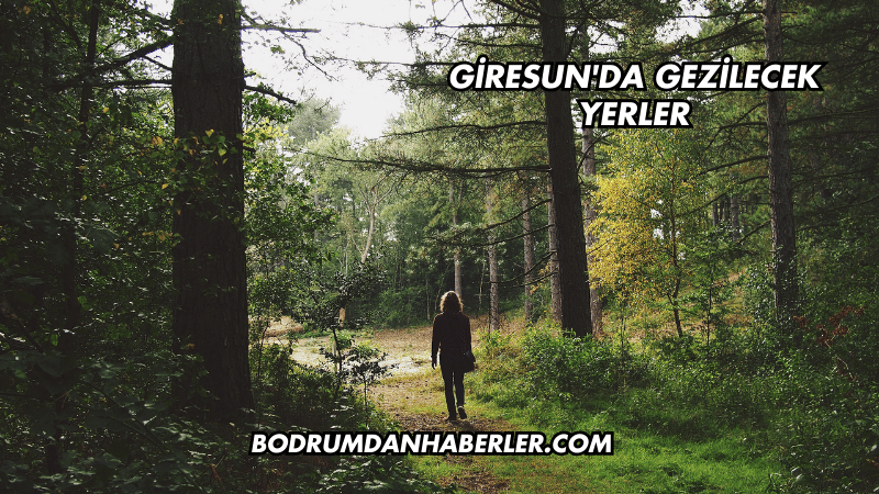 Giresun'da Gezilecek Yerler