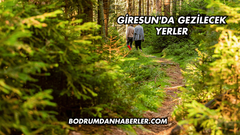 Giresun'da Gezilecek Yerler