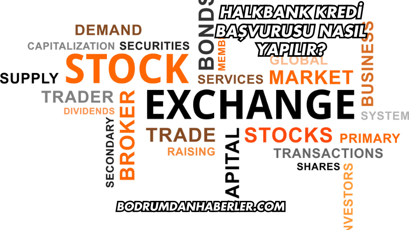 Halkbank Kredi Başvurusu Nasıl Yapılır?