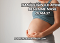 Hamileliğin İlk Ayında Beslenme Nasıl Olmalı?