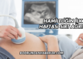 Hamileliğin İlk Haftası Sırt Ağrısı