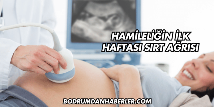 Hamileliğin İlk Haftası Sırt Ağrısı
