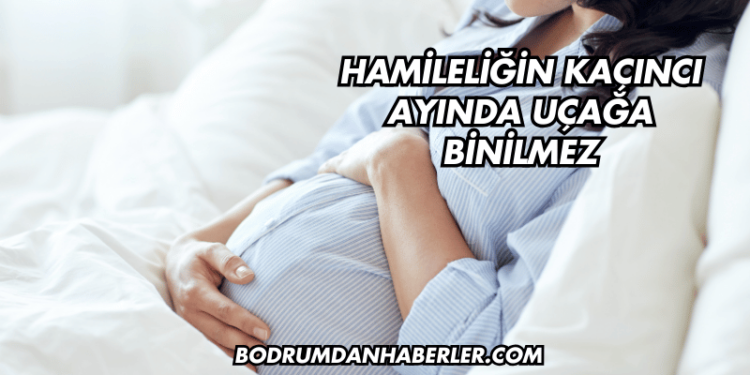 Hamileliğin Kaçıncı Ayında Uçağa Binilmez