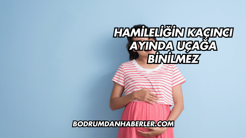 Hamileliğin Kaçıncı Ayında Uçağa Binilmez