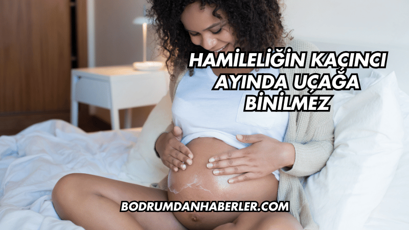 Hamileliğin Kaçıncı Ayında Uçağa Binilmez