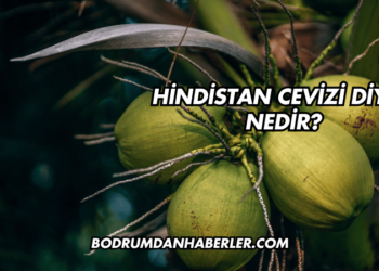 Hindistan Cevizi Diyeti Nedir?