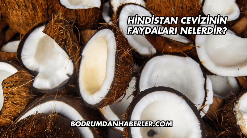 Hindistan Cevizinin Faydaları Nelerdir?