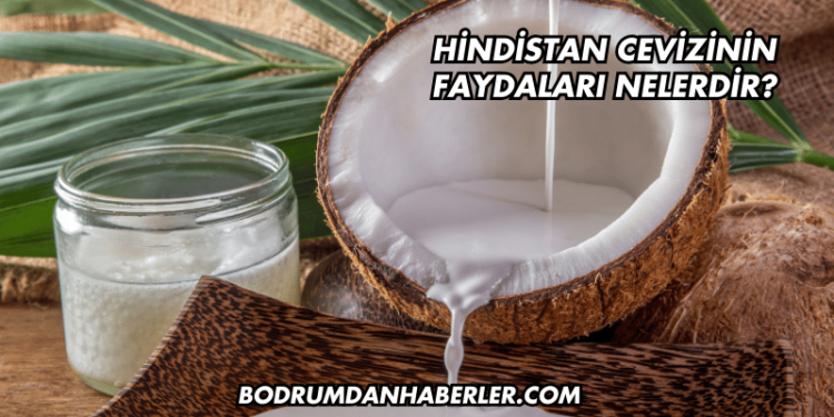 Hindistan Cevizinin Faydaları Nelerdir?