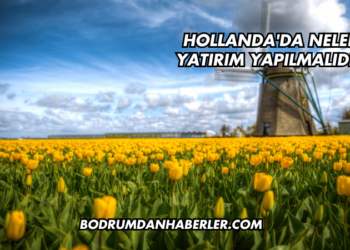Hollanda'da Nelere Yatırım Yapılmalıdır?