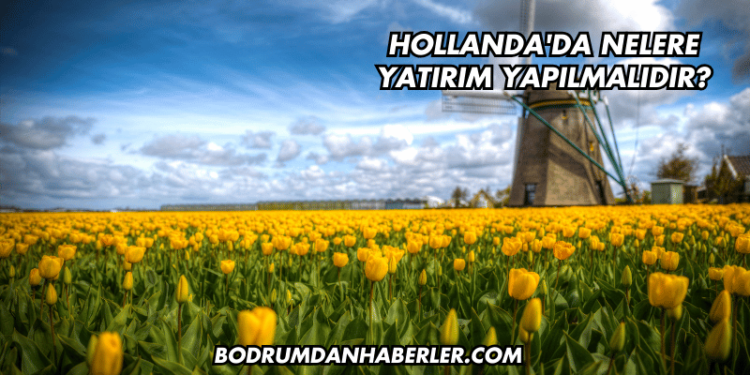Hollanda'da Nelere Yatırım Yapılmalıdır?