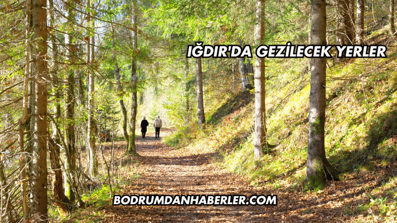 Iğdır'da Gezilecek Yerler