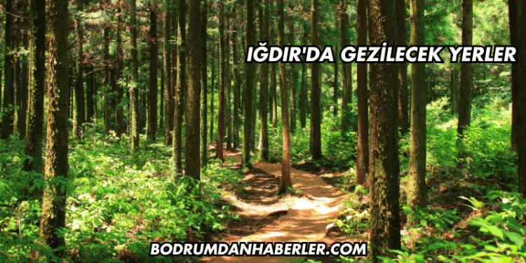 Iğdır'da Gezilecek Yerler