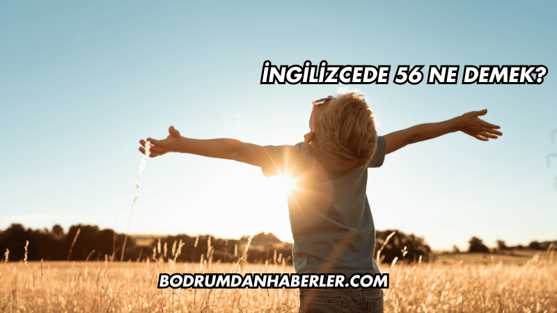 İngilizcede 56 Ne Demek?