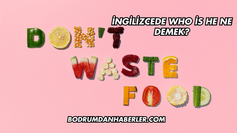 İngilizcede Who is he Ne Demek?