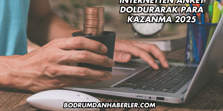 İnternetten Anket Doldurarak Para Kazanma 2025