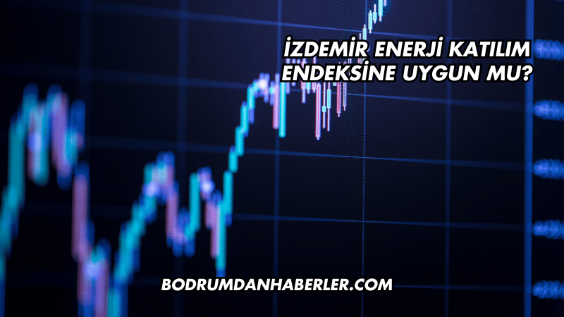 İzdemir Enerji Katılım Endeksine Uygun mu?