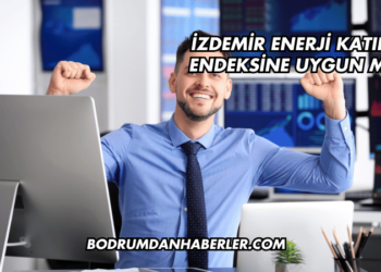 İzdemir Enerji Katılım Endeksine Uygun mu?