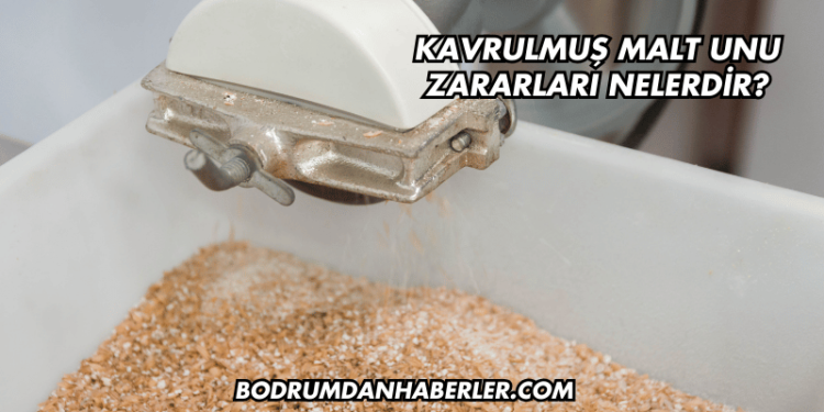 Kavrulmuş Malt Unu Zararları Nelerdir?