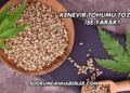 Kenevir Tohumu Tozu Ne İşe Yarar?