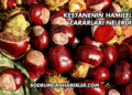Kestanenin Hamilelikte Zararları Nelerdir?