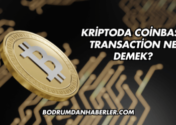 Kriptoda Coinbase Transaction Ne Demek?