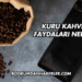 Kuru Kahvenin Faydaları Nelerdir?